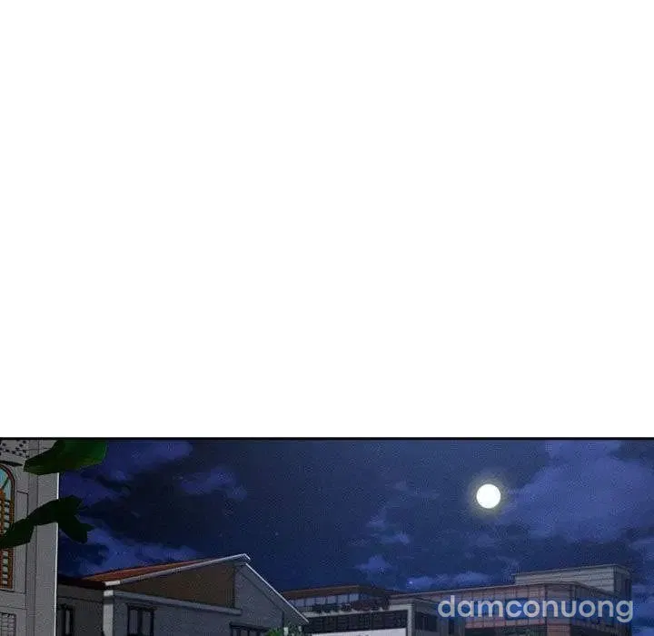 Quý Cô Chân Dài 