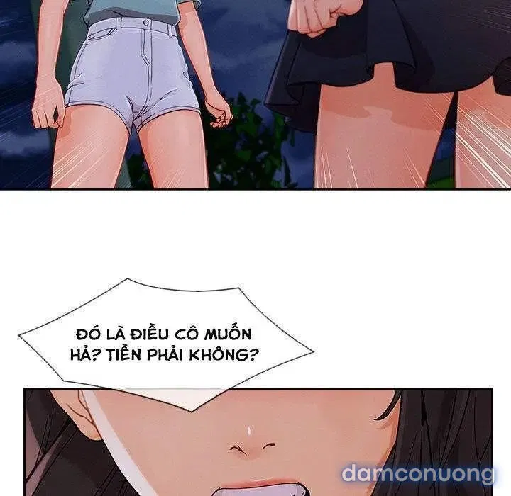 Quý Cô Chân Dài 