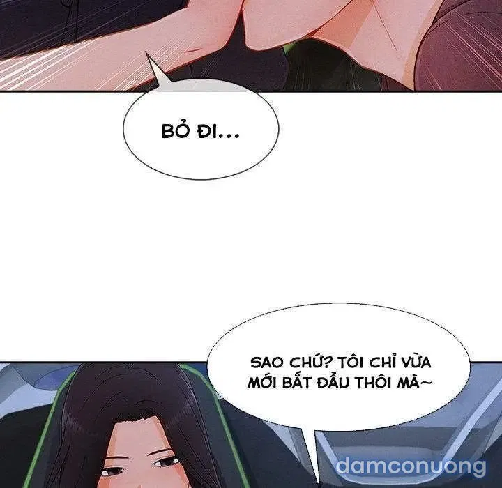 Quý Cô Chân Dài 