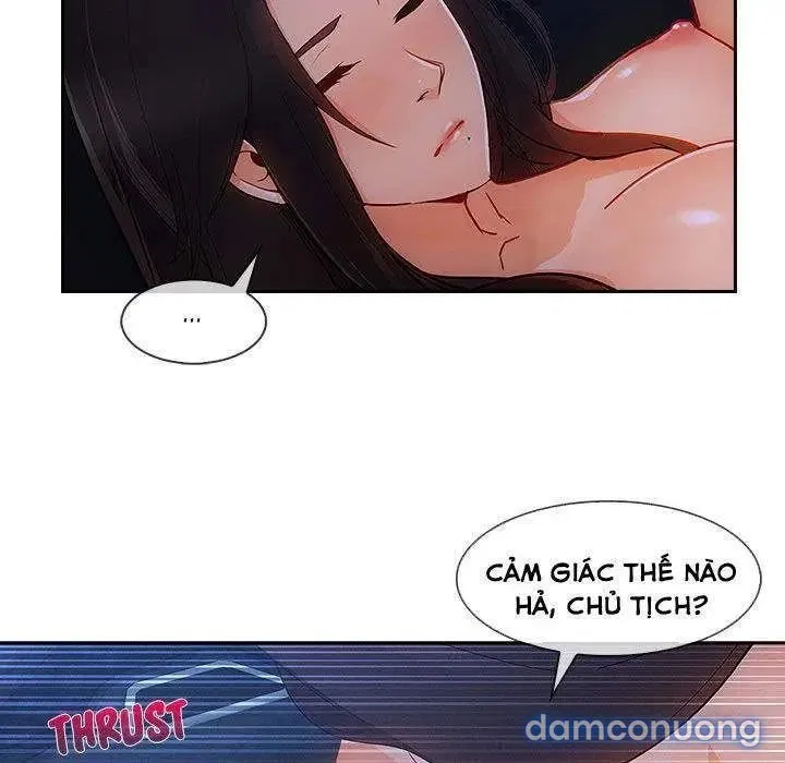 Quý Cô Chân Dài 