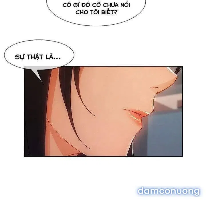 Quý Cô Chân Dài 