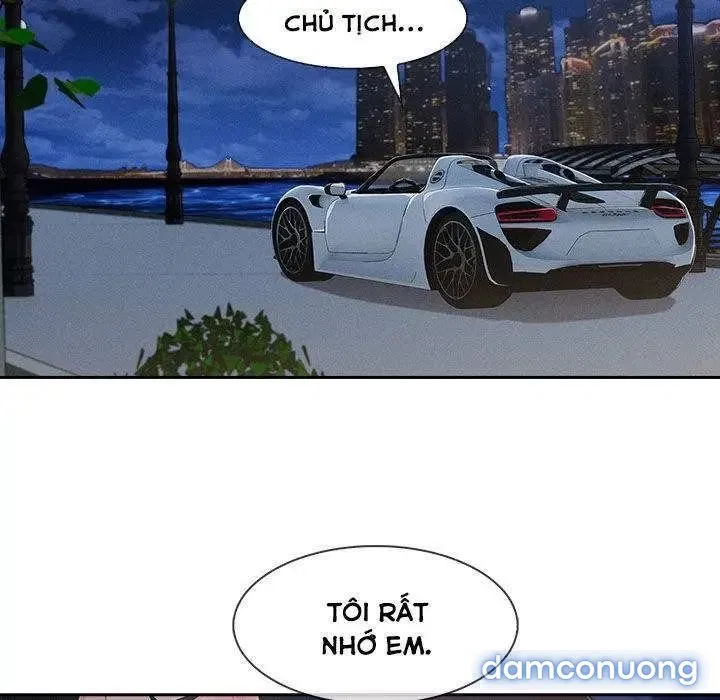 Quý Cô Chân Dài 