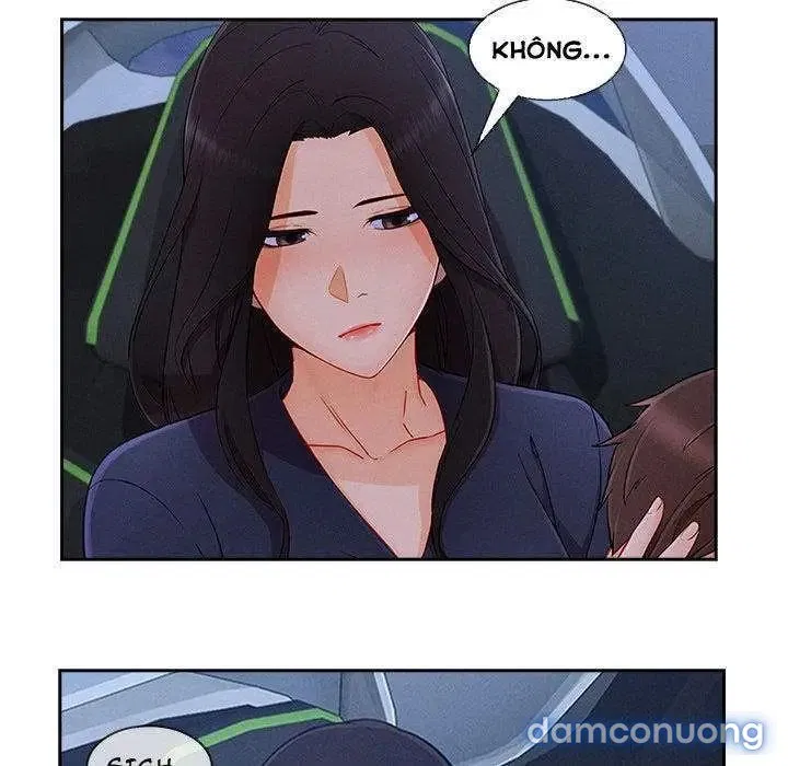 Quý Cô Chân Dài 