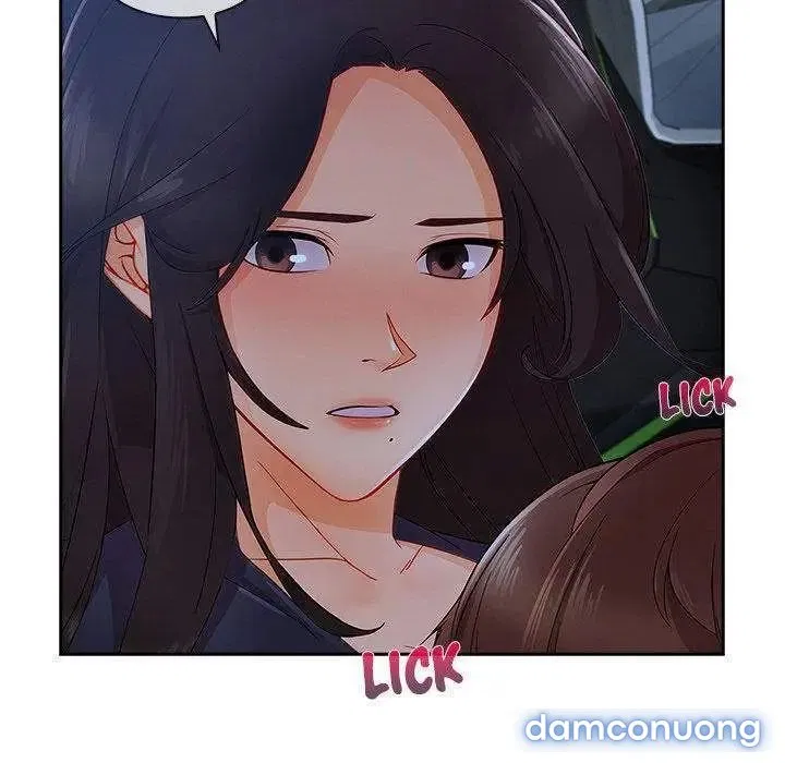 Quý Cô Chân Dài 