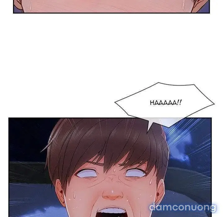 Quý Cô Chân Dài 