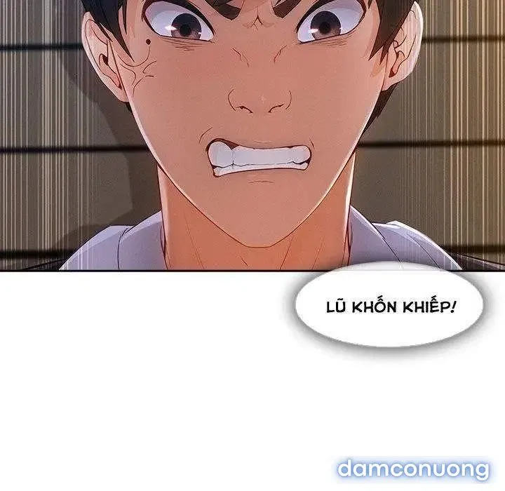 Quý Cô Chân Dài 