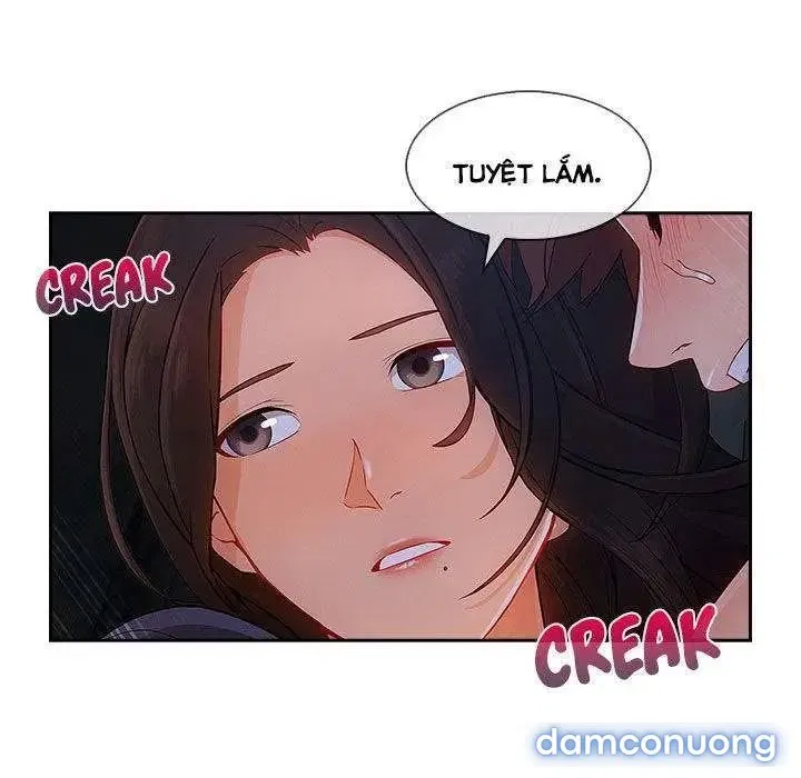 Quý Cô Chân Dài 
