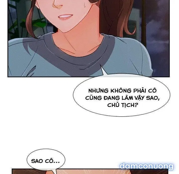 Quý Cô Chân Dài 
