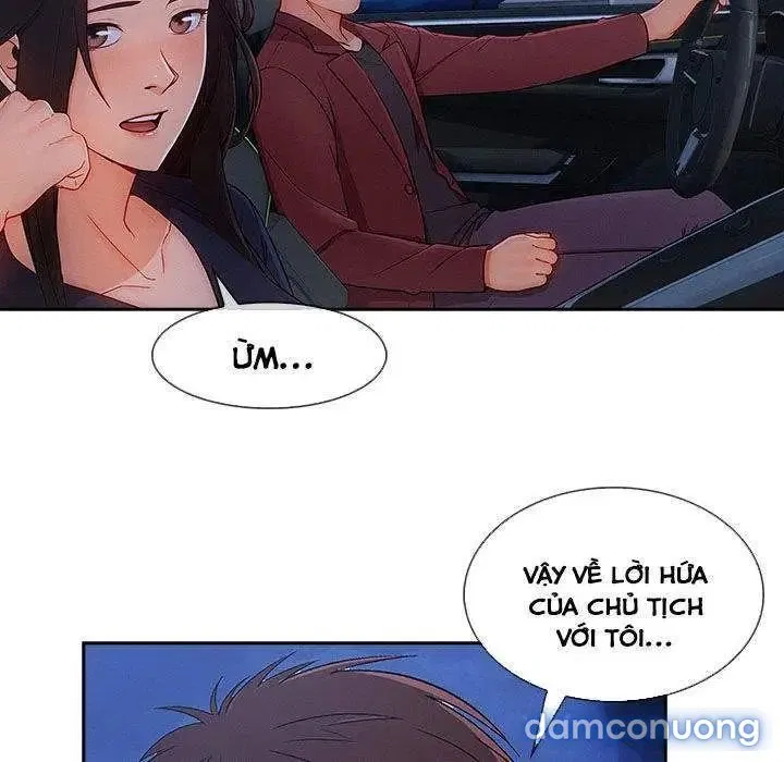 Quý Cô Chân Dài 