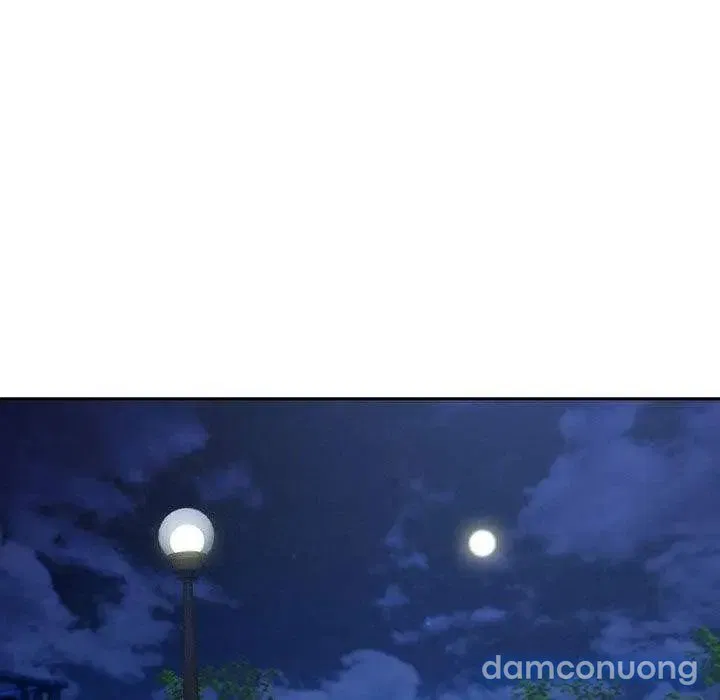 Quý Cô Chân Dài 