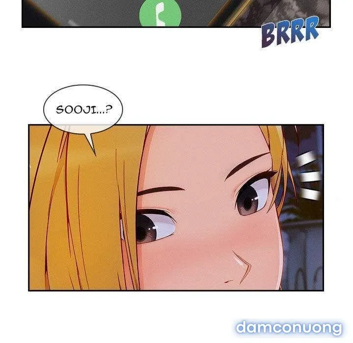 Quý Cô Chân Dài 
