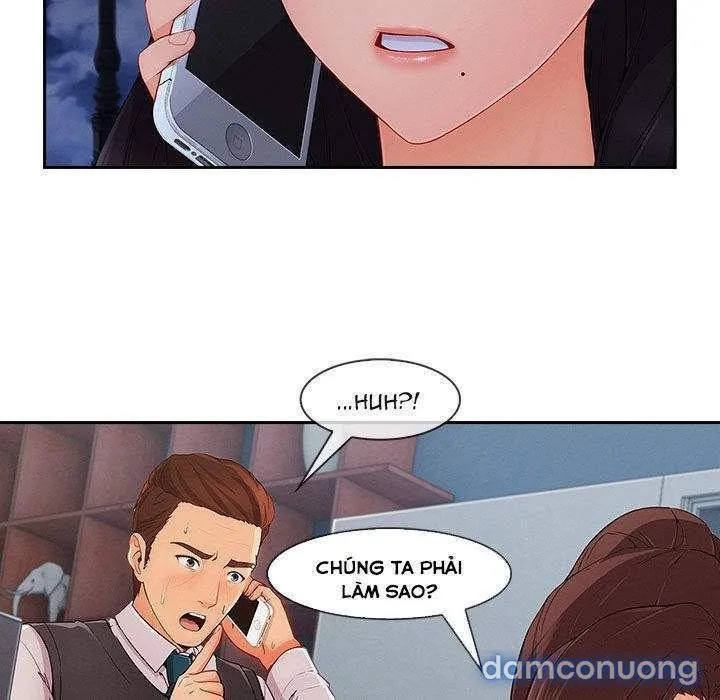 Quý Cô Chân Dài 