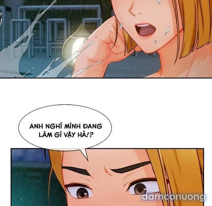 Quý Cô Chân Dài 