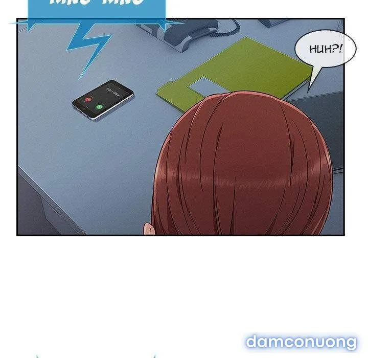 Quý Cô Chân Dài 