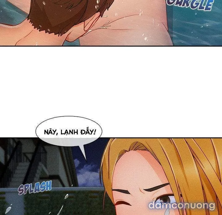 Quý Cô Chân Dài 