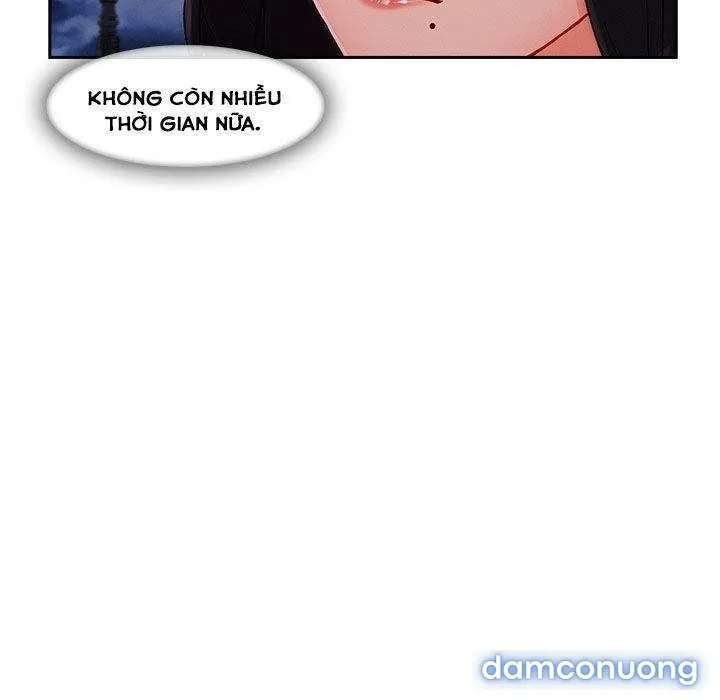 Quý Cô Chân Dài 