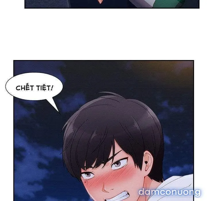 Quý Cô Chân Dài 