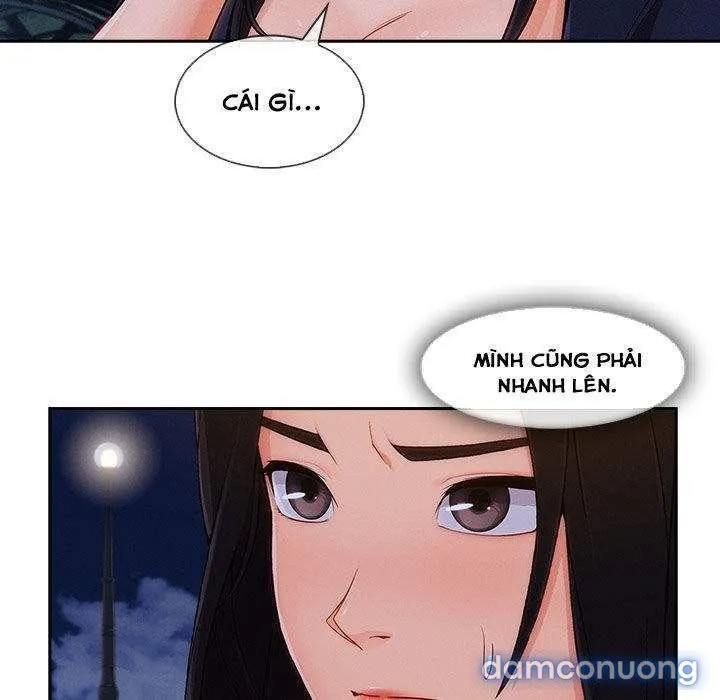 Quý Cô Chân Dài 