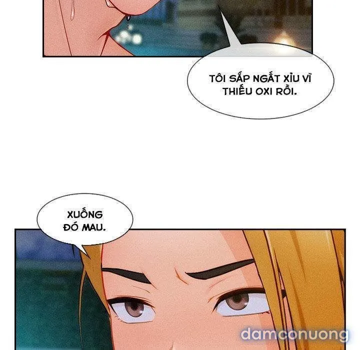 Quý Cô Chân Dài 