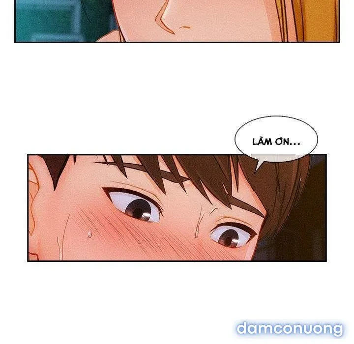 Quý Cô Chân Dài 