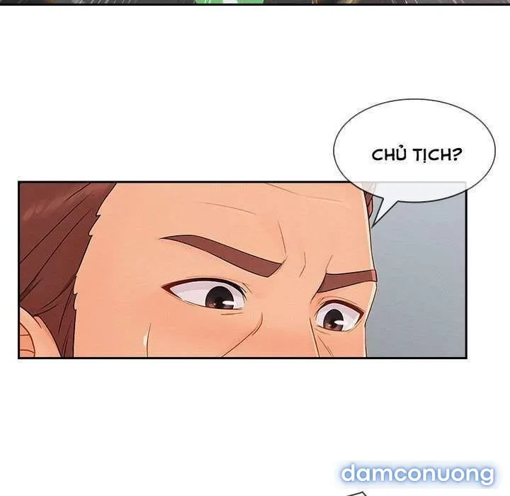 Quý Cô Chân Dài 