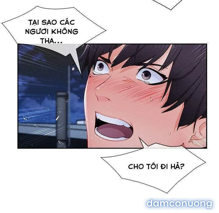 Quý Cô Chân Dài 