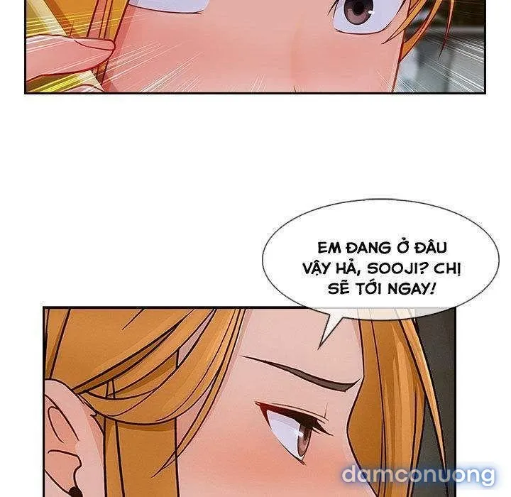 Quý Cô Chân Dài 