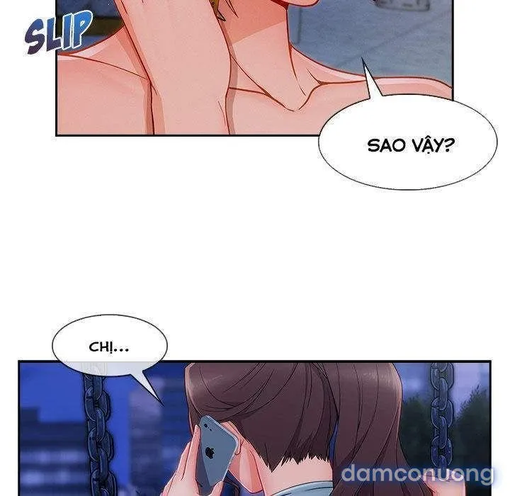 Quý Cô Chân Dài 
