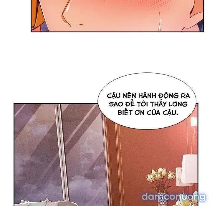 Quý Cô Chân Dài 