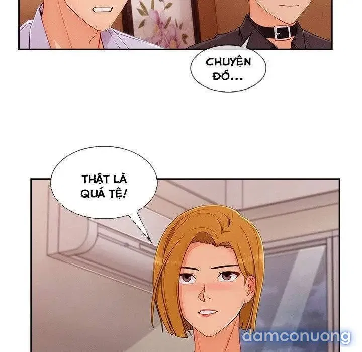 Quý Cô Chân Dài 