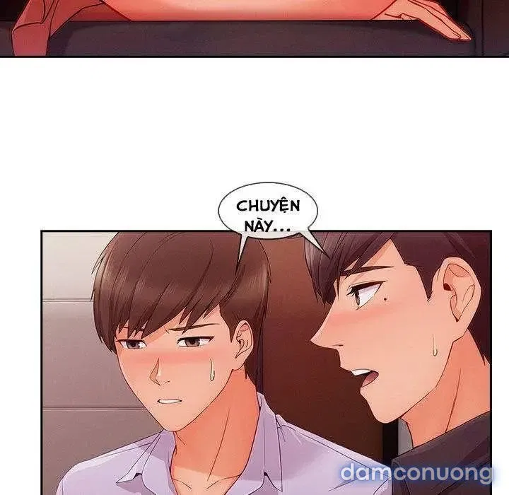 Quý Cô Chân Dài 