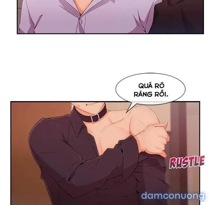 Quý Cô Chân Dài 