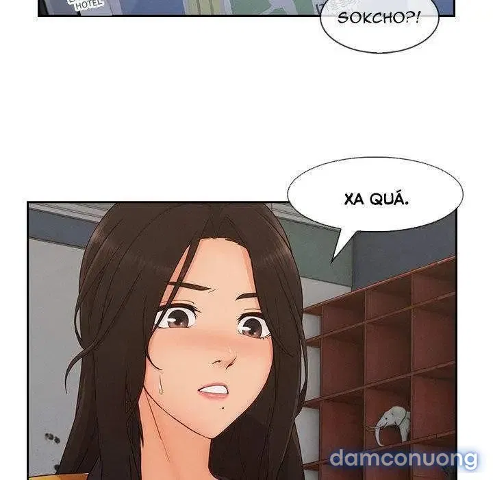 Quý Cô Chân Dài 