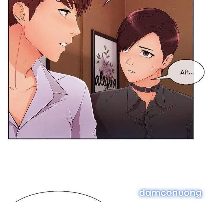 Quý Cô Chân Dài 