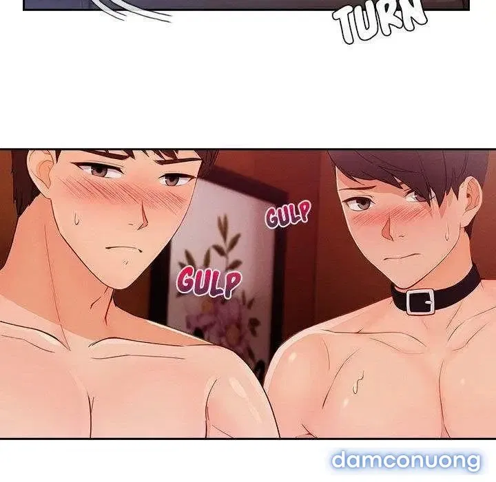 Quý Cô Chân Dài 