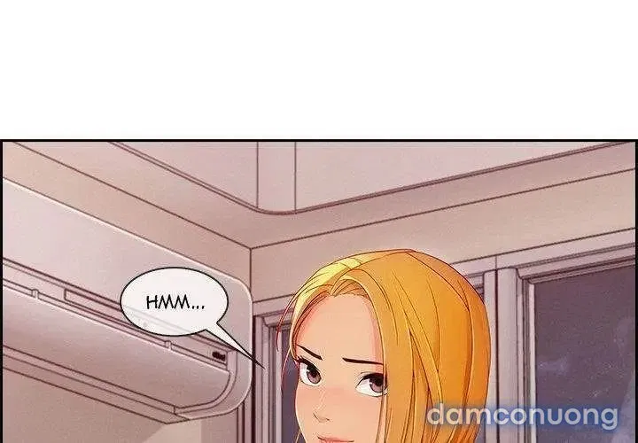 Quý Cô Chân Dài 