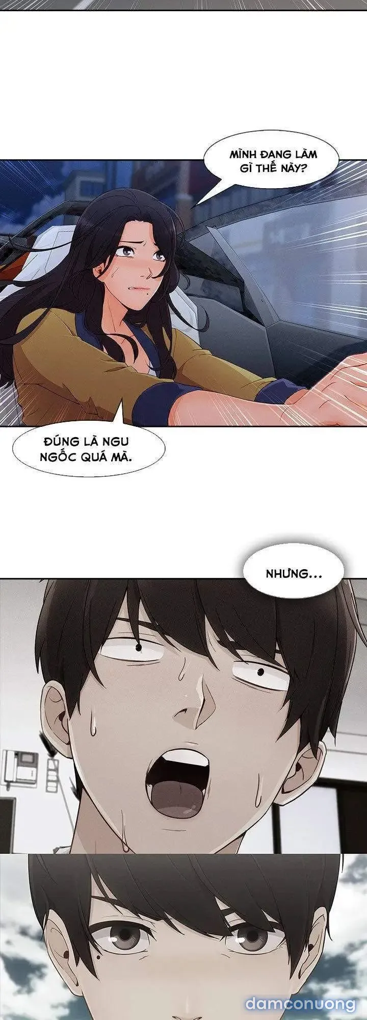 Quý Cô Chân Dài 