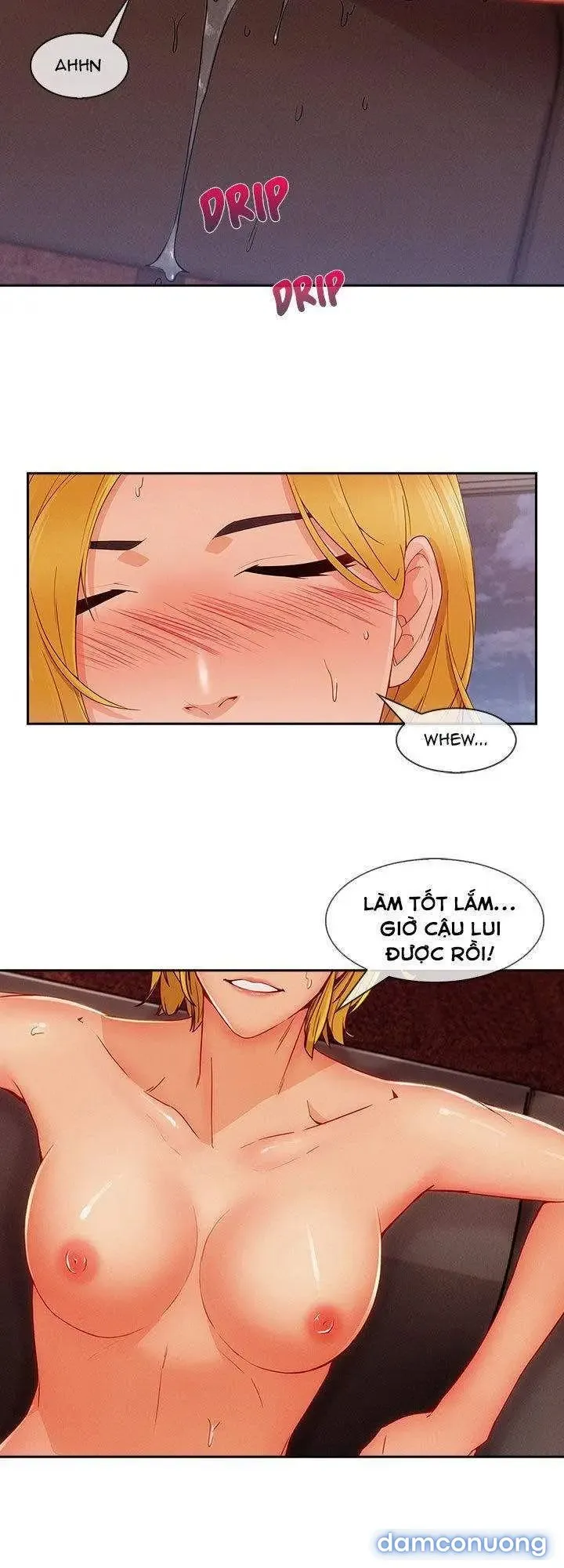 Quý Cô Chân Dài 