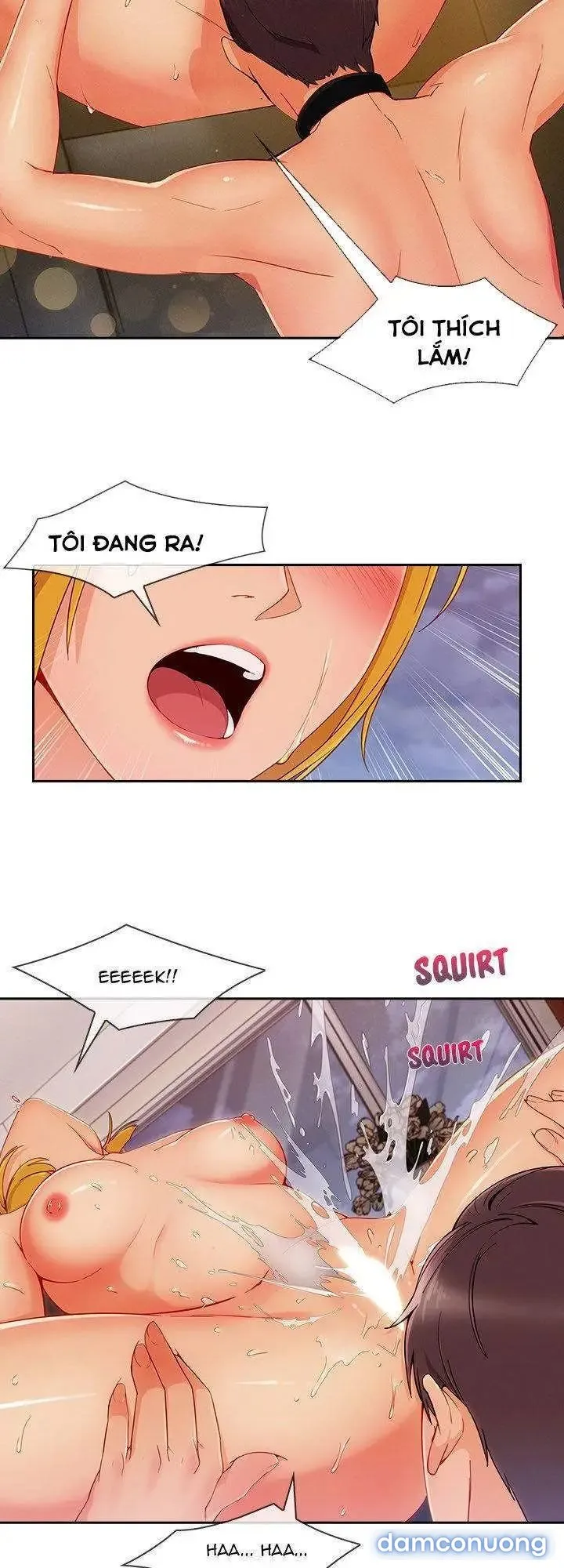 Quý Cô Chân Dài 