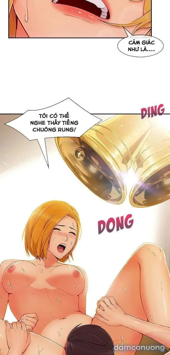 Quý Cô Chân Dài 