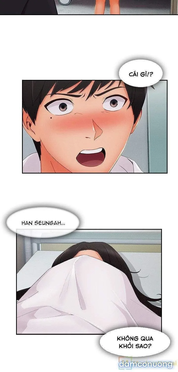 Quý Cô Chân Dài 