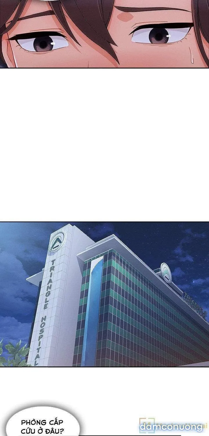 Quý Cô Chân Dài 