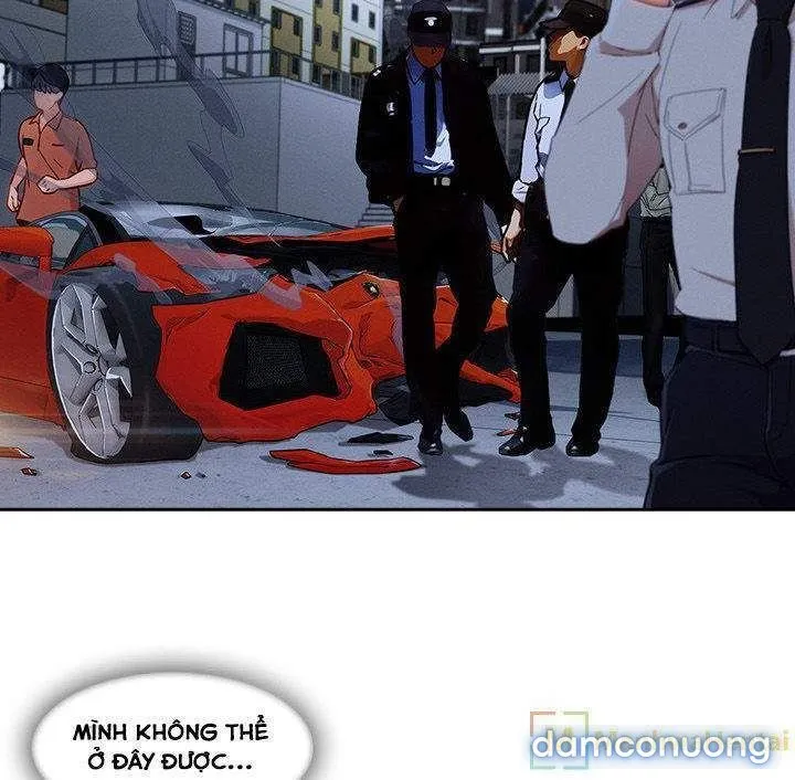 Quý Cô Chân Dài 