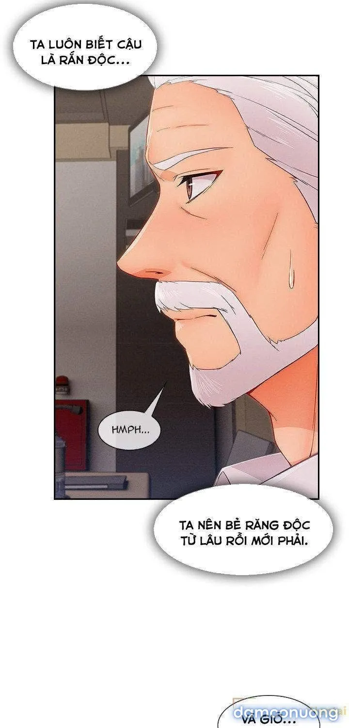 Quý Cô Chân Dài 