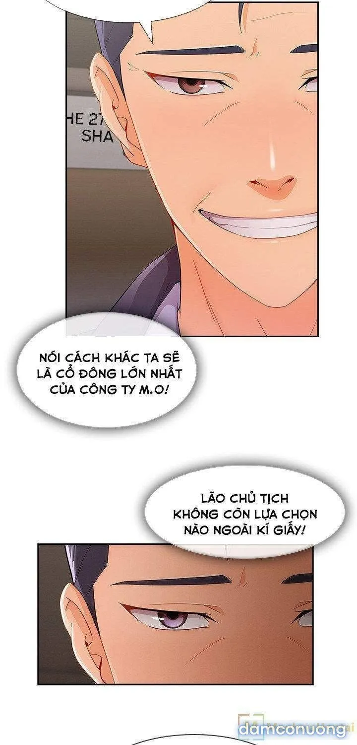 Quý Cô Chân Dài 