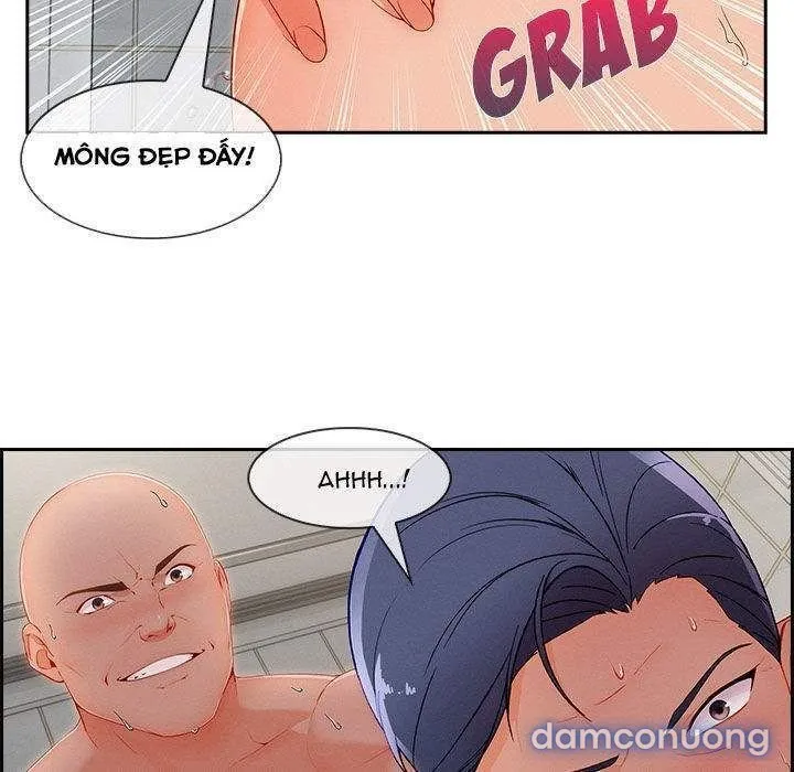 Quý Cô Chân Dài 