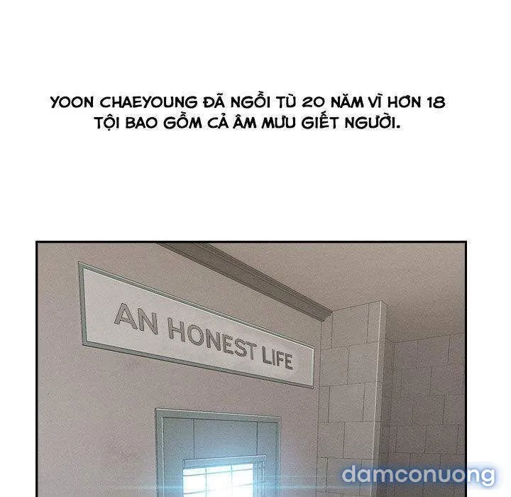 Quý Cô Chân Dài 