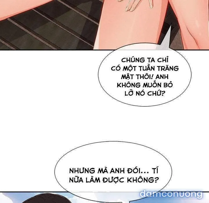Quý Cô Chân Dài 