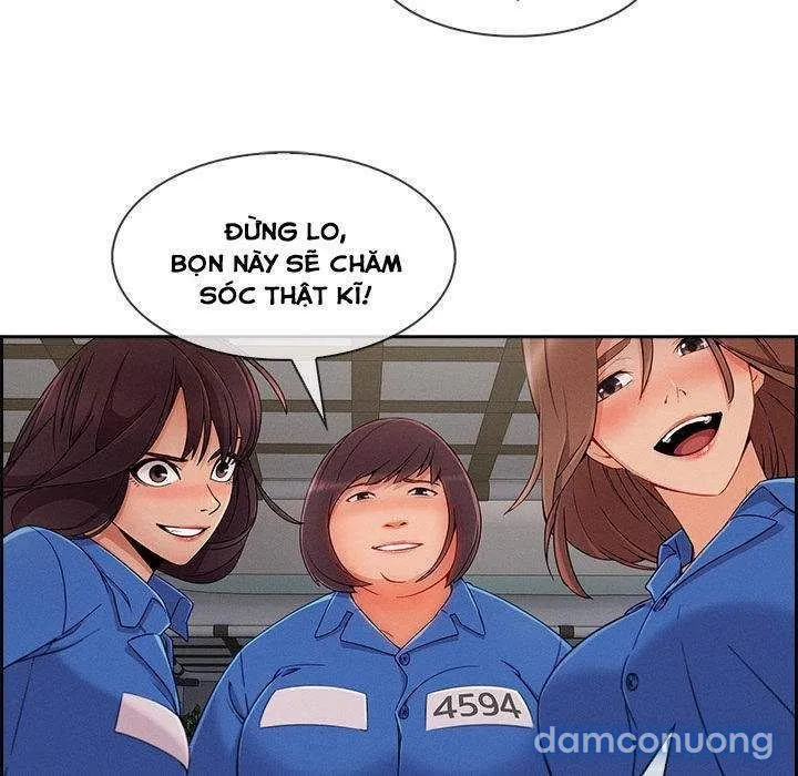 Quý Cô Chân Dài 