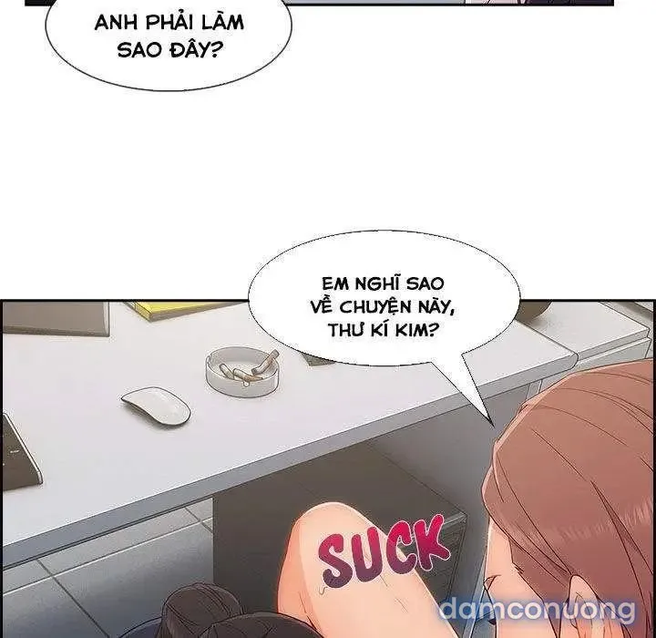 Quý Cô Chân Dài 